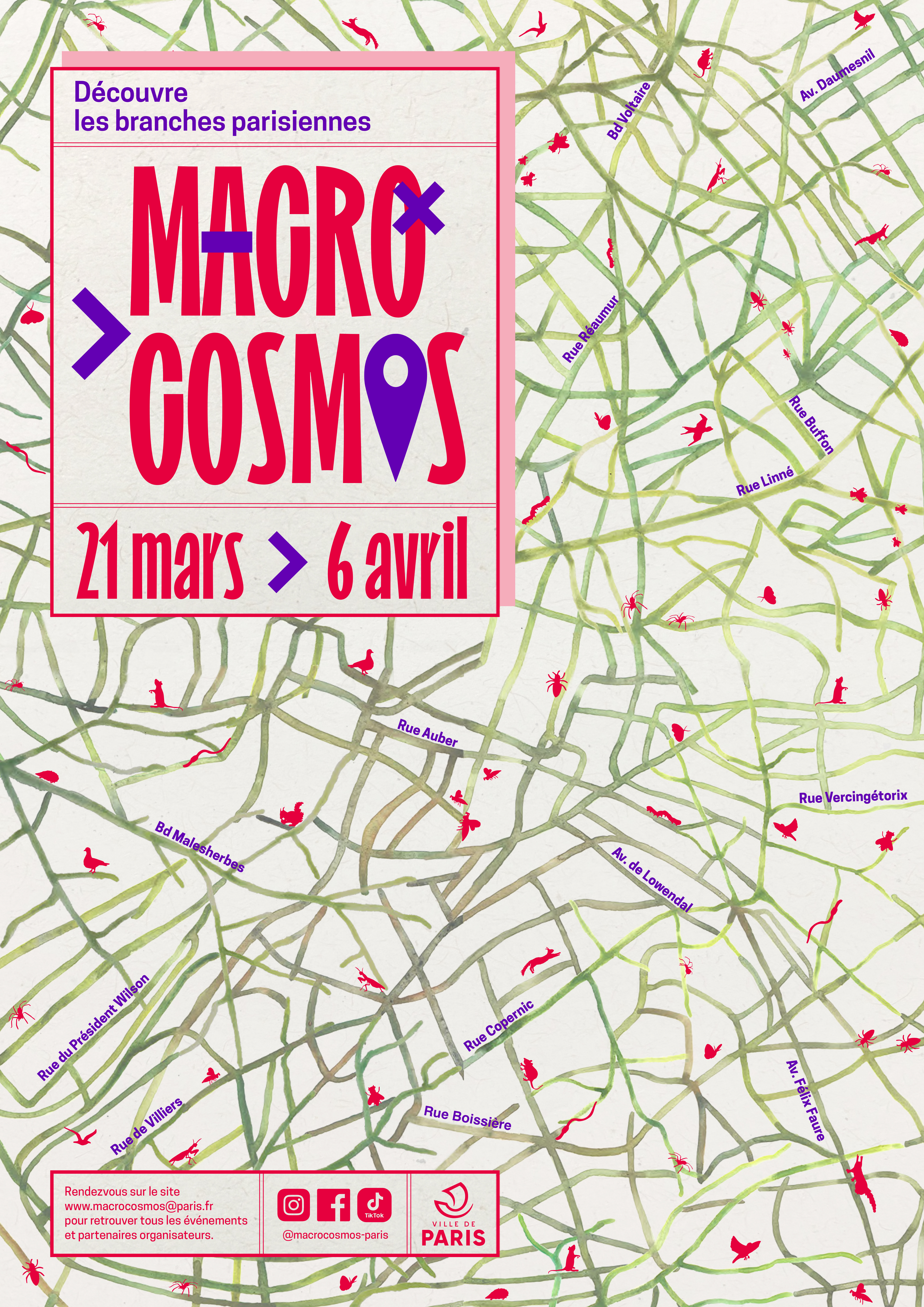 Macrocosmos